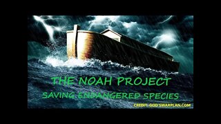 THE NOAH PROJECT - FEATURING ATKINS NATURE AQUARIUMS