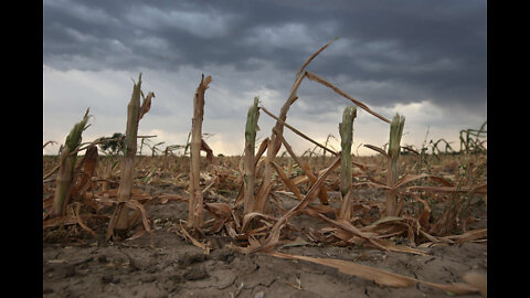 THE COMING FAMINE and the COMMUNISTIC CRACKDOWN IN CANADA