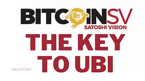 BSV BLOCKCHAIN SMALL CARBON FOOTPRINT + SCALEABILITY = UBI | A new concept in economics | #bsv