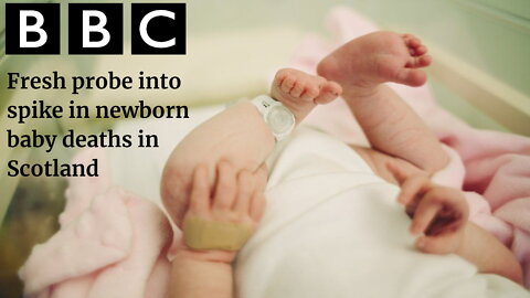 Death rate of newborn babies in Scotland up 130%. Experts rule out jab without any supporting proof