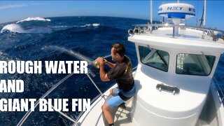 Fishing for GIANT BLUE FIN TUNA I CAUGHT MY PB!