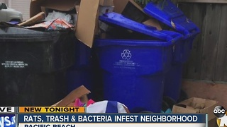 Rats, trash, bacteria infest neighborhood