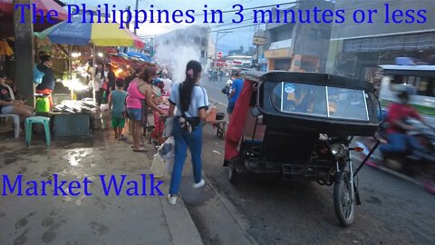 The Philippines in 3 minutes or less-Market Walk