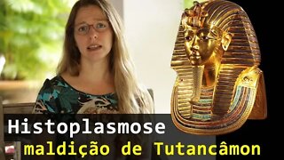 A maldição de Tutancâmon: Histoplasmose - sintomas e tratamento #43