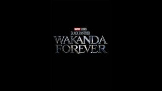 Wakanda Forever - Movie Review