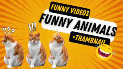 Funniest Animal Vines of All Time 🤣🤣