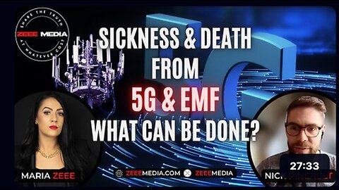 Nick Pineault - Sickness & Death from 5G and EMF - What Can Be Done?