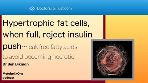 Ben Bikman3: Hypertrophic fat cells, when full, reject insulin push; leak free fatty acids!