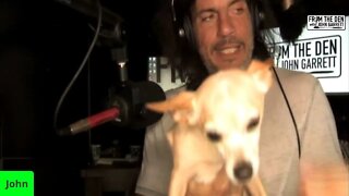 Doggies and cutting some audio