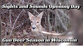 Sights and Sounds Opening Day Gun Deer Season in Wisconsin