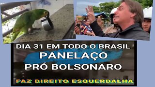 DIA 31 TEM PANELAÇO PRÓ BOLSONARO, FAZ DIREITO ESQUERDALHA !