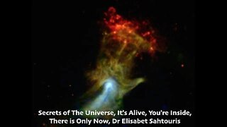 Evolution Biologist PhD, Secrets of The Universe, It's Alive, You're Inside, Dr Elisabet Sahtouris