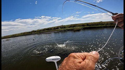 AMAZING Day of Fly Fishing for Redfish in Myrtle Grove, Louisiana!