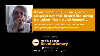 Sheila Lewis testifies on being denied life-saving transplant