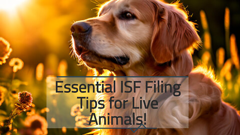 Navigating ISF for Live Animals: Essential Requirements and Guidelines