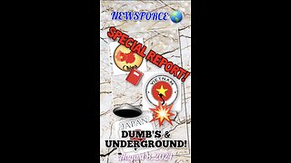 Newsforce 🌎 SPECIAL REPORT! 🚨 Dumb's & Underground!