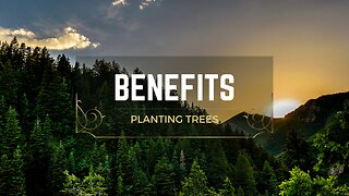 Benefits of Planting Trees