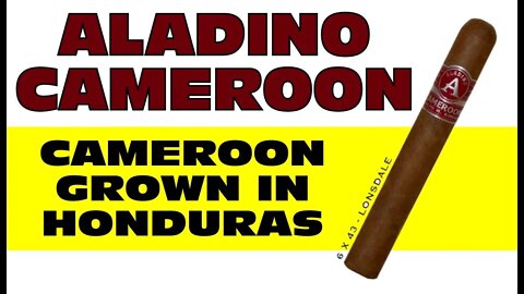 Aladino Cameroon Review