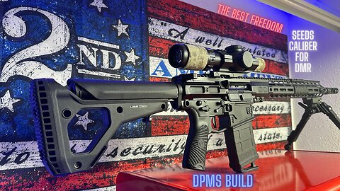 DPMS Build Review!! The best Freedom Seeds Caliber For DMR?