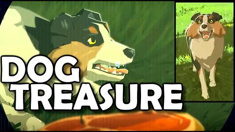 Feeding Dogs & Finding Treasure - Zelda Breath of the Wild (BotW) - BASEMENT