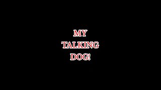 My Talking Dog