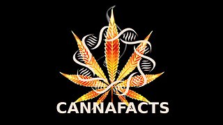 the mature cannabis plant