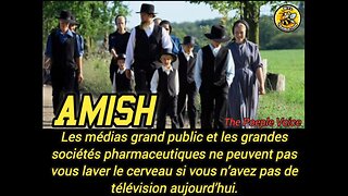 AMISH