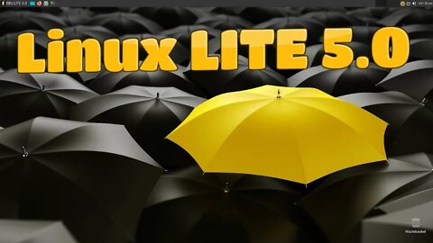 Linux LITE 5.0 on my main pc no other o/s installed.