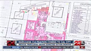 Cal City readying for marijuana cultivation