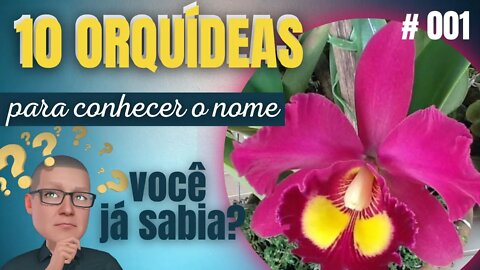 COMO SABER O NOME DAS ORQUIDEAS | APRENDA DIVERTINDO-SE | # 001