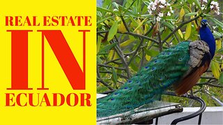 How to Buy Real Estate in Ecuador