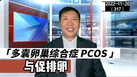 PCOS 多囊卵巢综合症与促排卵 | 卵睾搓灭术 20221120