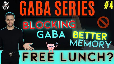 Blocking GABA for Memory Enhancement: A Free Lunch?