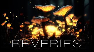 Phelian ~ Reveries | Ambient | Chillstep (No Copyright)