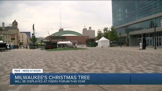 'Cheer District': Milwaukee's Christmas tree to be displayed in the Deer District