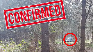 What is The Most Credible UFO Sighting? Perhaps The Incident at Rendlesham Forest