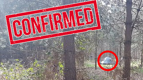 What is The Most Credible UFO Sighting? Perhaps The Incident at Rendlesham Forest