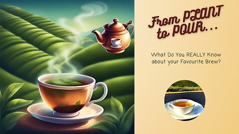 🌿 From Plant to Pour: How Much Do You REALLY Know About TEA? 🍂