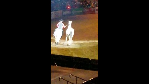 National Western Stock Show and Rodeo