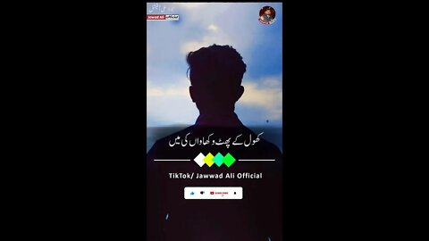 Khol Ky Phat Wakhawan Ki Main - Punjabi Poetry Whatsapp Status - Sad Saraiki Shero Shayari Dohray