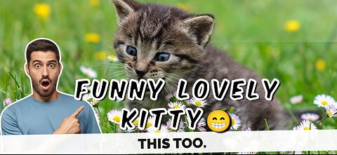 Best cute funny kitty😁😁. See this video refresh your mind.