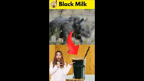 Animal That Gives Black Milk!!