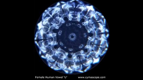 Forbidden History: Cymatics 4