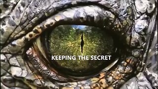 🧒🦎 REPTILIAN SHAPESHIFTERS EXPOSED EVERYONE LIVES HERE 🧒🦎 THAT MTHRFCKER IS NOT REAL