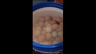 How Many Water Glassed Eggs Fit in a 5 Gal Bucket?