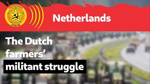 The Dutch farmers’ militant struggle