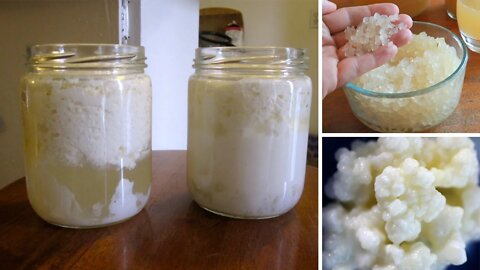 7 Benefits of Kefir That Could Change Your Life