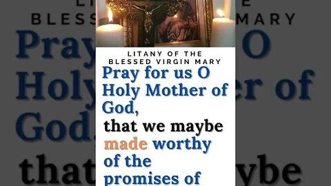 Pray for us O Holy Mother of God #shorts #catholic