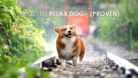 Music for Dogs - Relaxing Sounds for Dogs with Anxiety! Helped 4 million dogs worldwide (PROVEN)