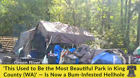 'This Used to Be the Most Beautiful Park in King County (WA)' — Is Now a Bum-Infested Hellhole
